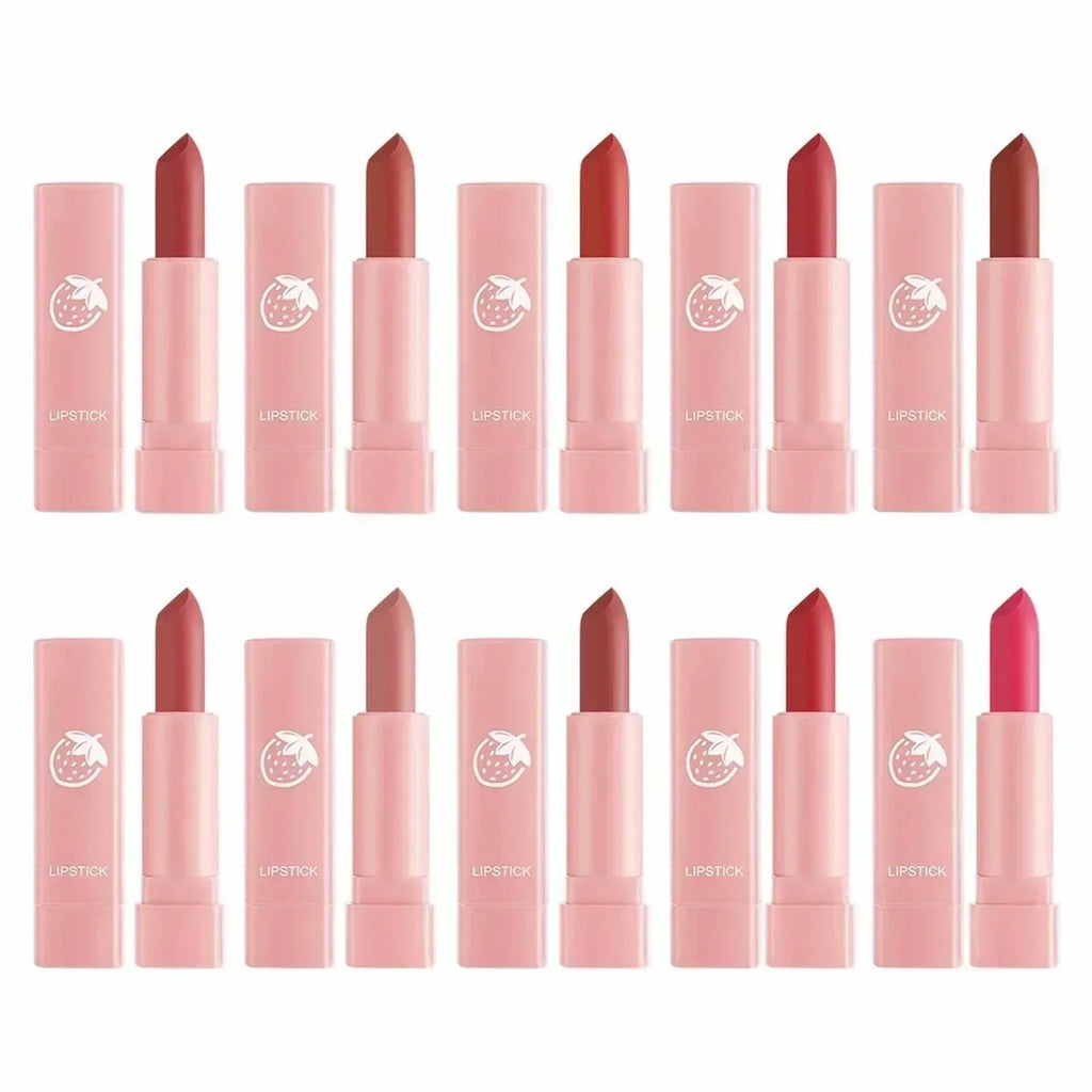 FawaQa | Dragon Ranee Vigor Make Up Matte Lipstick 10Pcs Set