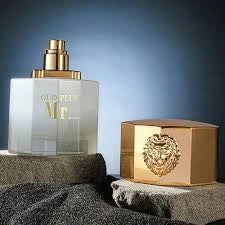 FawaQa | Sellion Mr Oud Plus Perfume For Unisex – 100 ml